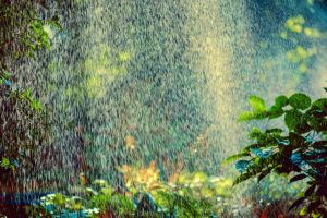 sprinkler spray on garden | sprinkler irrigation advantages | Designer Watering Systems