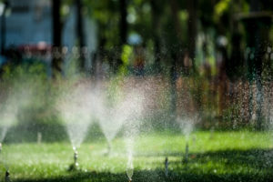 sprinklers spraying lawn | lawn watering tips, sprinkler irrigation advantages | Designer Watering Systems