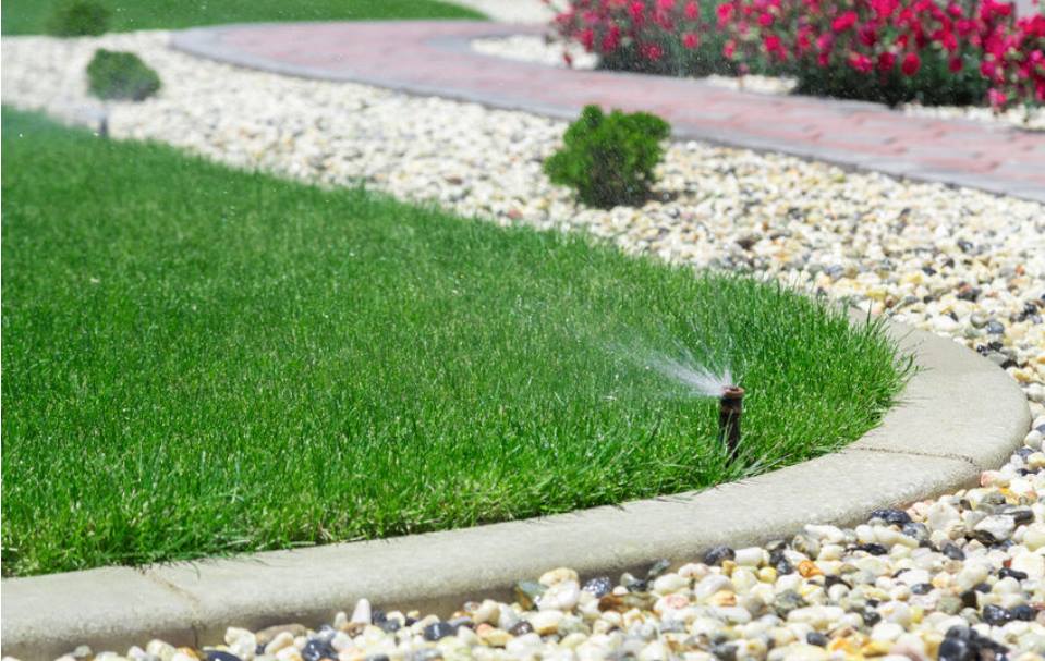 sprinkler on lawn | DIY sprinkler installation | Designer Watering Systems