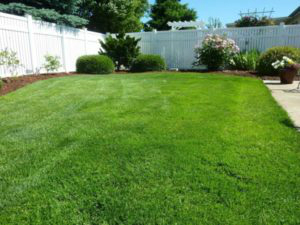 green lawn with white picket fance | domestic irrigation tips | Designer Watering